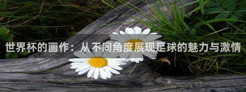 2026男足世界杯：世界杯的画作：从不同角度展现足球的魅力与激情