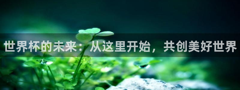世界杯足球直播：世界杯的未来：从这里开始，共创美好世界