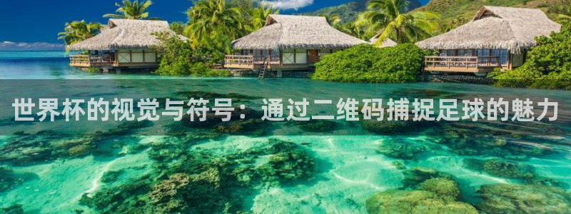 世界杯预选赛赛程：世界杯的视觉与符号：通过二维码捕捉足球的魅力