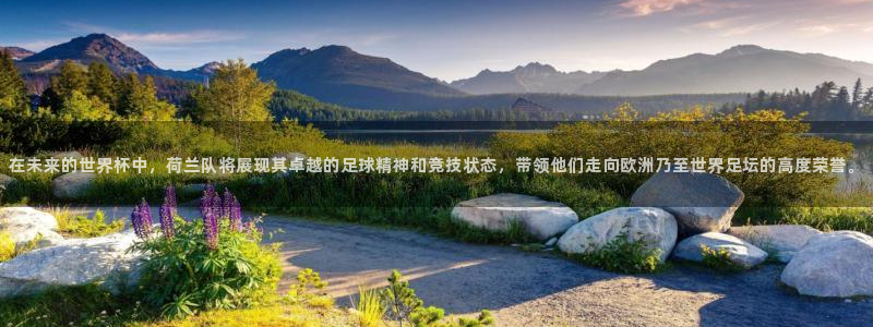 足球世界杯时间：在未来的世界杯中，荷兰队将展现其卓越的足球精神和竞技状态，带领他们走向欧洲乃至世界足坛的高度荣誉。