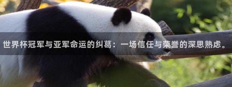 世界杯预选赛赛程：世界杯冠军与亚军命运的纠葛：一场信任与荣誉的深思熟虑。