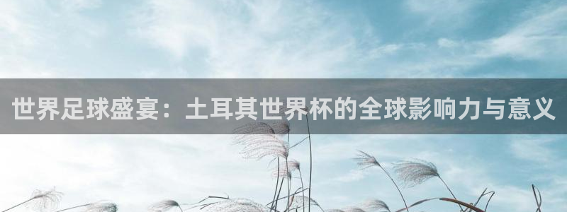 世界杯直播网站：世界足球盛宴：土耳其世界杯的全球影响力与意义