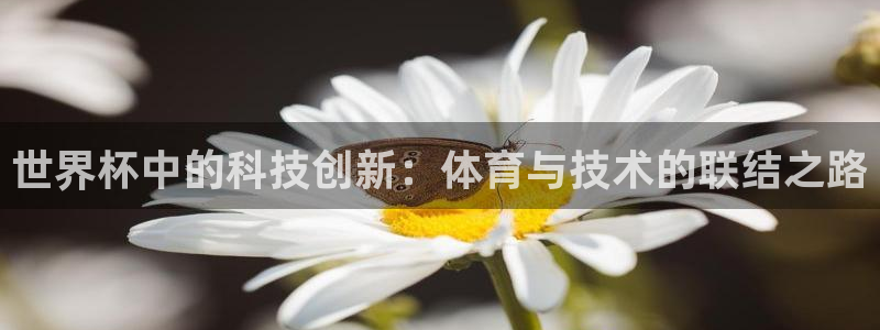 世界杯直播高清：世界杯中的科技创新：体育与技术的联结之路