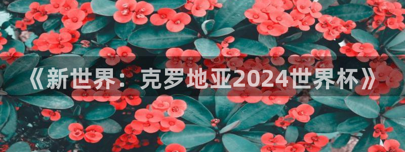 2026年足球世界杯赛程时间表：《新世界：克罗地亚2024世界杯》