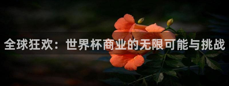 国际足联世界杯：全球狂欢：世界杯商业的无限可能与挑战