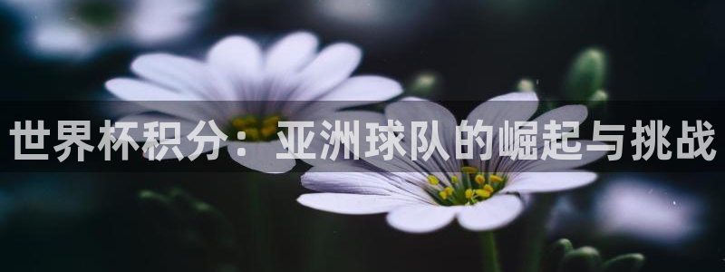 世界杯预选赛欧洲赛区赛程：世界杯积分：亚洲球队的崛起与挑战