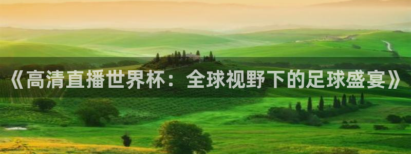 世界杯决赛圈球队:《高清直播世界杯:全球视野下的足球盛宴》