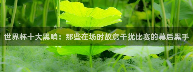 2026世界杯官网：世界杯十大黑哨：那些在场时故意干扰比赛的幕后黑手