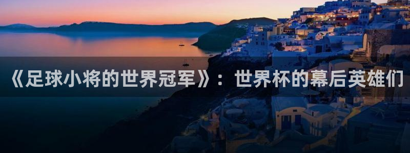 2026世界杯亚洲预选赛：《足球小将的世界冠军》：世界杯的幕后英雄们