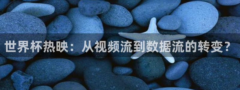 2026年男足世界杯：世界杯热映：从视频流到数据流的转变？