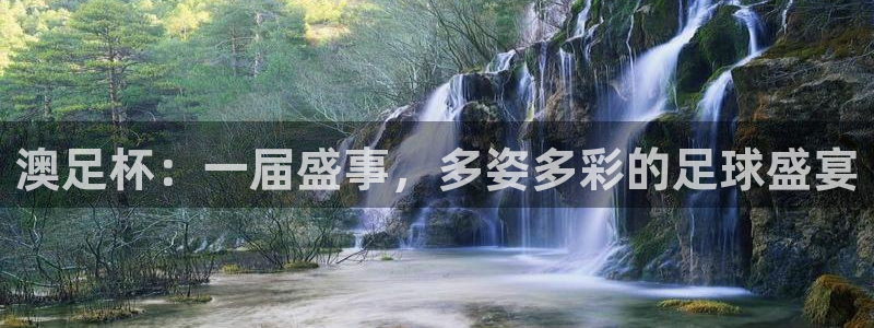 2026年世界杯对阵图：澳足杯：一届盛事，多姿多彩的足球盛宴