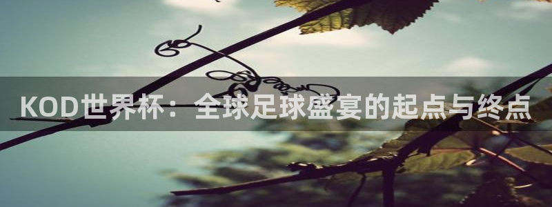 女足世界杯直播：KOD世界杯：全球足球盛宴的起点与终点